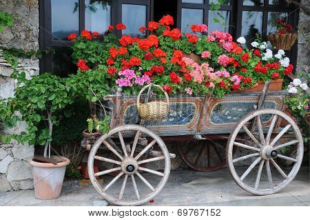 Flowers In The Cart