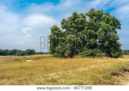 Nature protect area