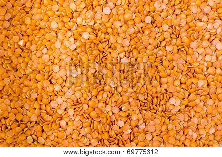 Closeup of split red lentils