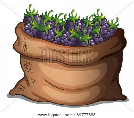 Illustration of a sack of fresh strawberries on a white background