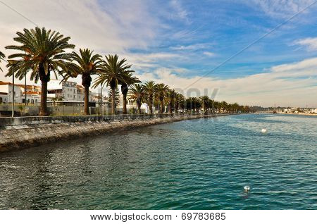Lagos Baywalk Area with Palms