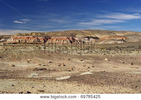 Landscape in Patagonia