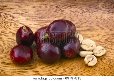 Green Coffe (coffea Arabica)