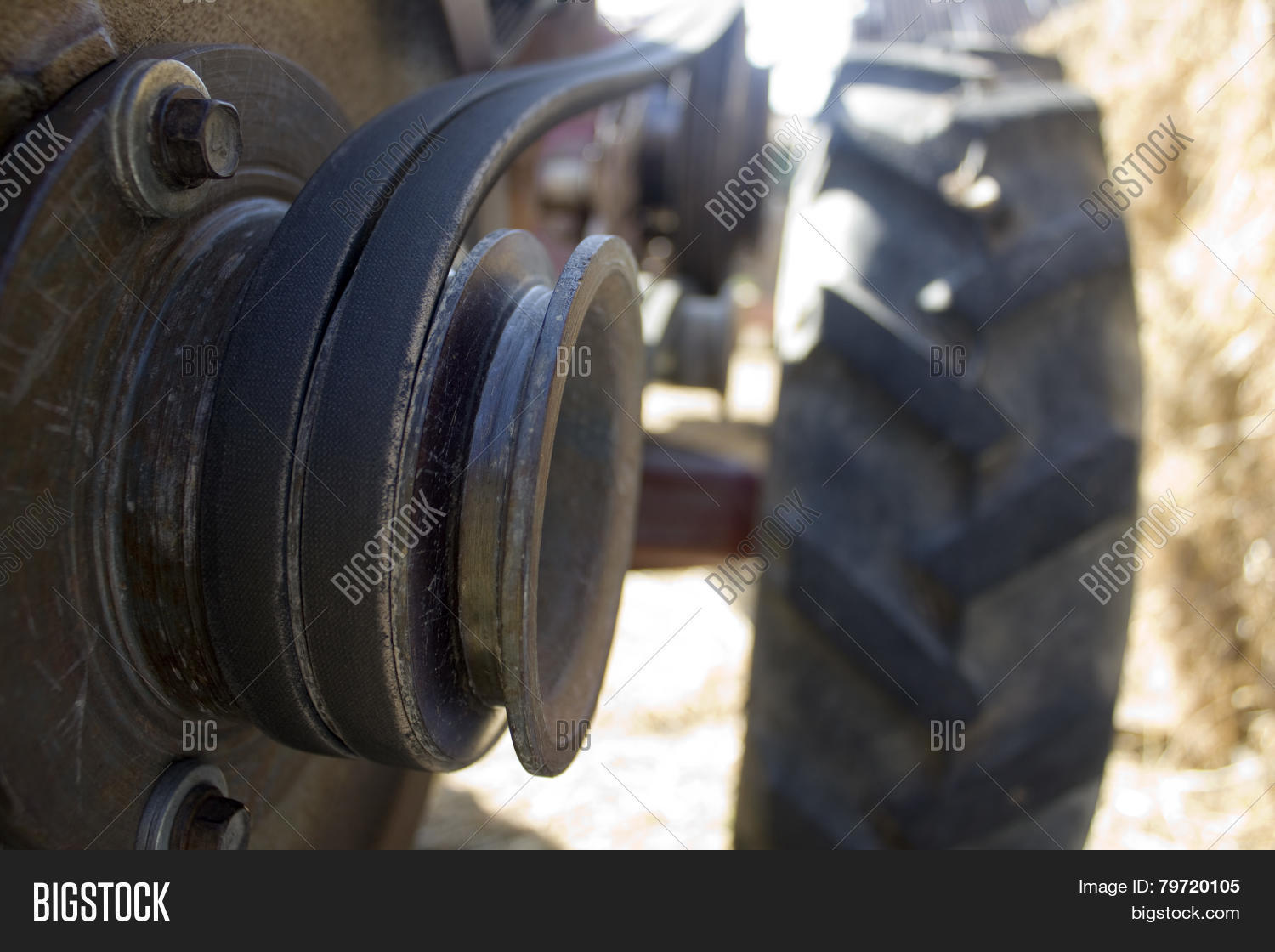 Image Preview