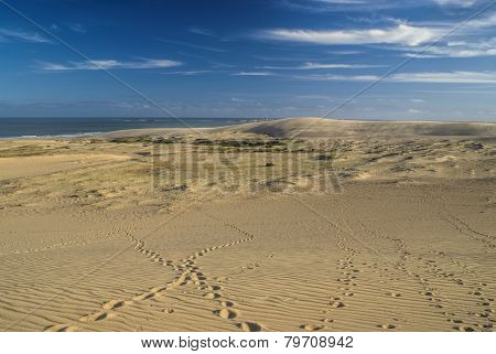 Sand Dunes