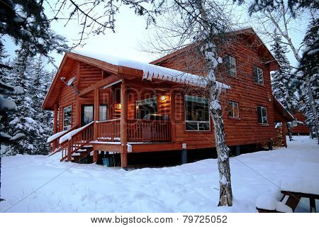 Cabin in the woods