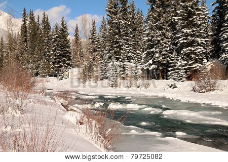 Vallecito Creek