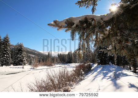 Vallecito Creek