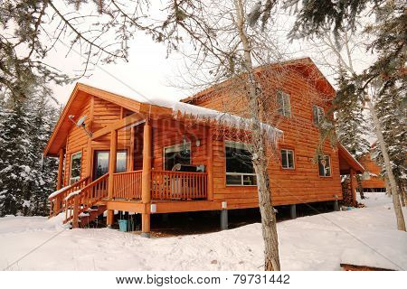 Cabin in the woods