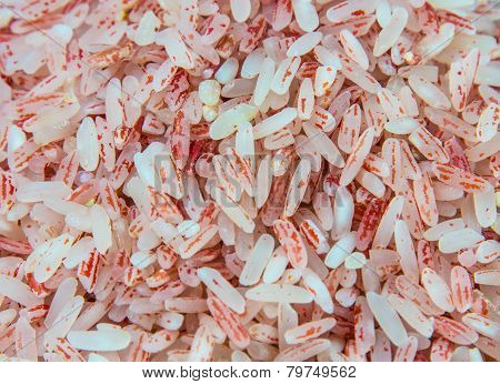 Center Focusing Of Brown Rice