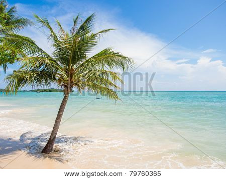 Tropical beach of Chaweng on Koh Samui island in Thailand