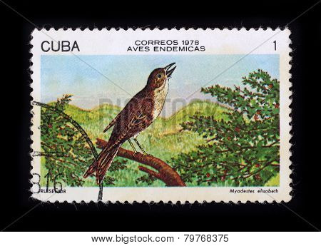 Post Stamp. Birds - Cuban Solitaire
