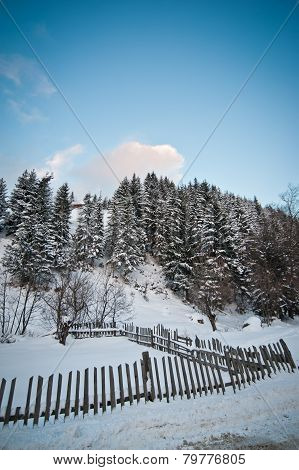 Winter landscape with snowed trees, road and wooden fence. Hill covered by snow at countryside