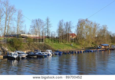 The Shore Of The River Izhora.