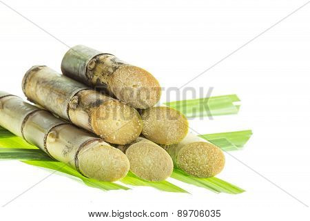 Sugarcane Isolated On White Background
