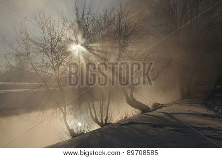 Frost on the trees on the embankment of the Iset River in Yekaterinburg, Russia.