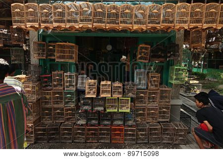 YOGYAKARTA, INDONESIA - JULY 31, 2011: Vendor sells song birds and parrots at the Pasar Ngasem Market in Yogyakarta, Central Java, Indonesia.