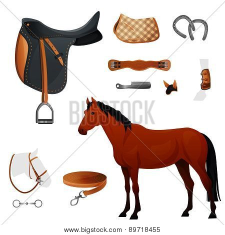 Set of equestrian equipment for horse.