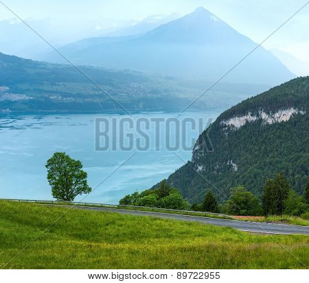 Lake Brienz Summer Top View (switzerland).