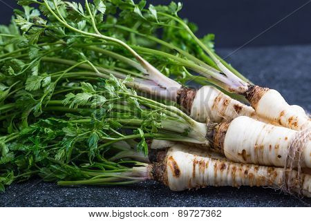 Fresh Parsley With Root On Table