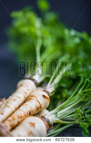 Fresh Parsley With Root On Table