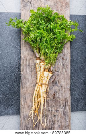 Fresh Parsley With Root On Table