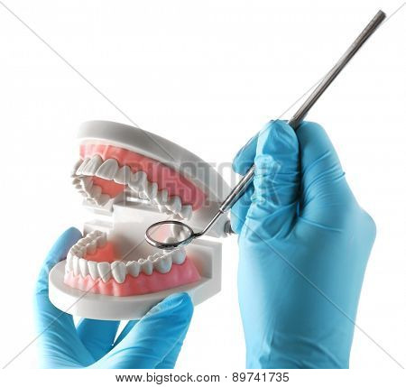 White fake teeth in hand of dentist, isolated on white