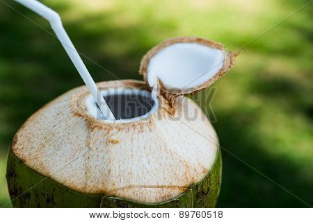 Coconut with straw