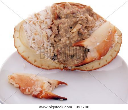 Gekleed krab