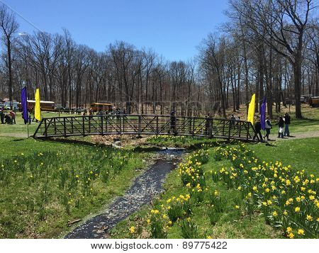 The 37th Annual Daffodil Festival in Meriden, Connecticut
