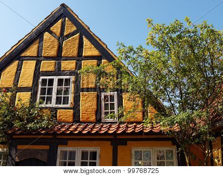 Traditional Old Danish House