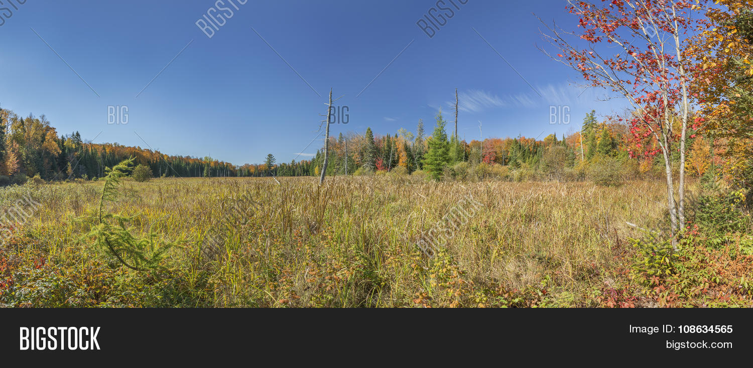 Beaver Meadow Autumn Image & Photo (Free Trial) Bigstock