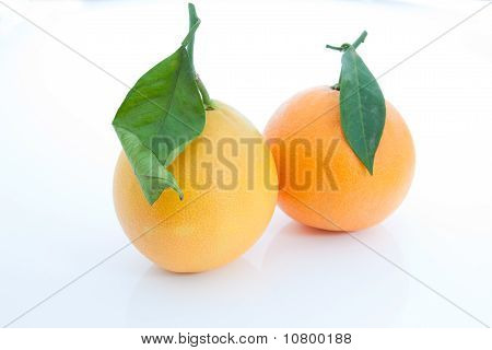 Tarocco Precoce appelsiner