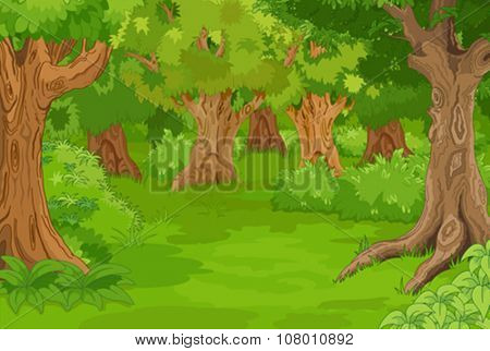 Illustration of amazing forest glade
