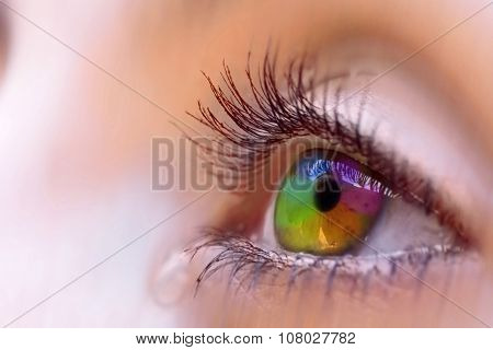 Rainbow Vision