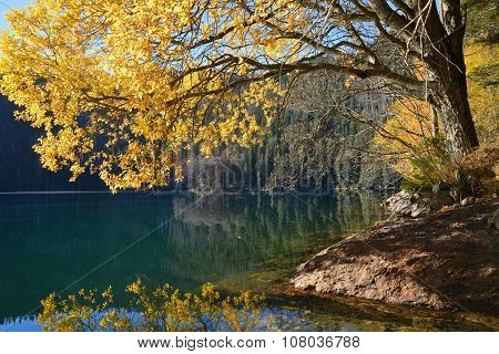 Black Lake - Czech republic