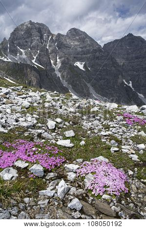 Kalkkogel
