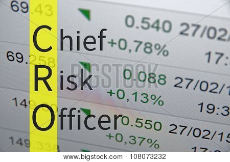 Chief risk officer
