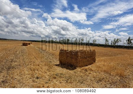 Squares Straw Bales After Harvest Wheat 10