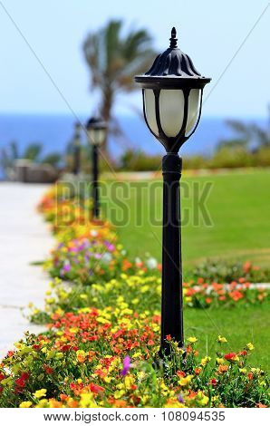 typical garden in a village in Marsa Alam