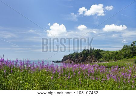 Coastal Beauty Of New Brunswick Province In Canada