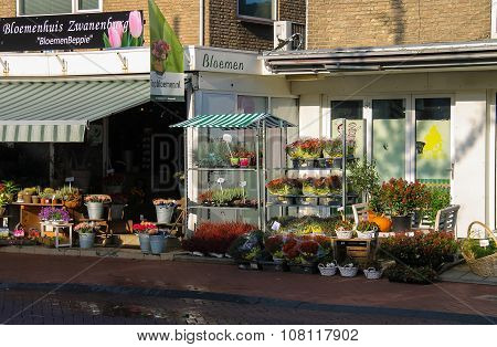 Baskets And Pots With Plants On The Shelves In Front Of The Flower Shop In  Zwanenburg, The Netherla