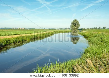 Tree And Contrails Reflected In A Small Stream