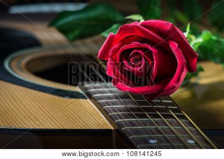Still Life Rose And Quitar