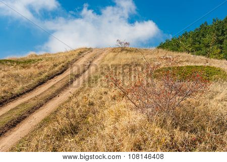 Fall Landscape with earth road in mountain pasture Demerdzhi in Crimea