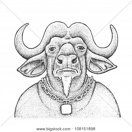 African Buffalo Engraving Illustration