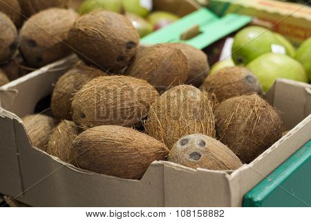 Coconut On Shelf In Store
