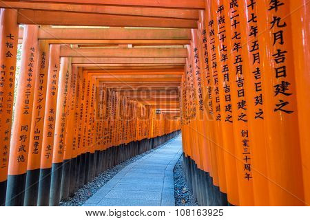 Path Of Oranges Japanese Gates In A Temple In Kyoto