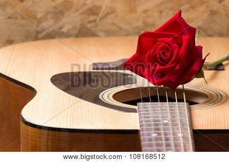 Still Life Rose And Quitar