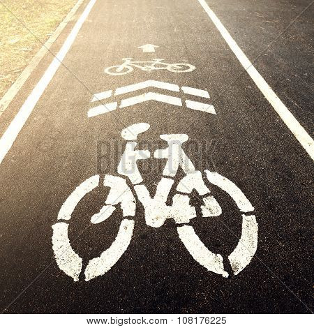 bicycle lane sign on the road with light.